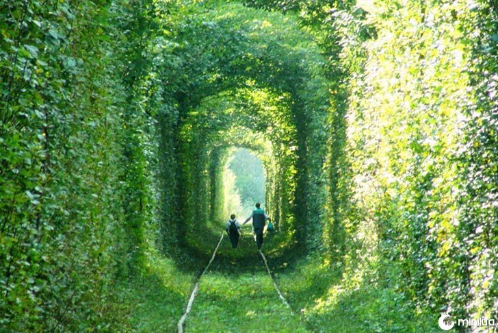 túnel com grama em torno dele
