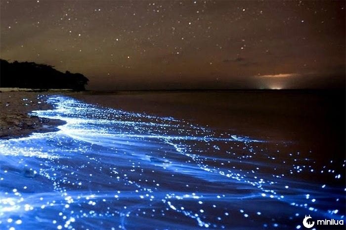 mar da noite com luzes
